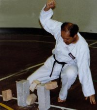Karate - The Way of Empty Hand